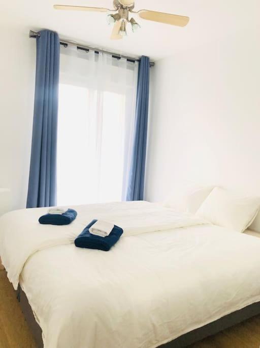 Cosy Near Geneva Apartment
